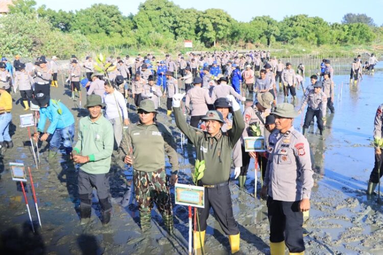 Wujudkan Green Policing, Polda Aceh Tanam 10.000 Mangrove di Pesisir Banda Aceh