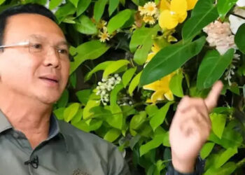 Ahok Ledek Wacana Pilkada lewat DPRD: Mengambil Hak Rakyat! Dibuat untuk Curang!