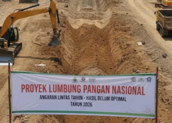 Anggaran 2025 Dipakai di 2024, Proyek Lumbung Pangan Prabowo Disorot, Ini Daftar Kerugiannya