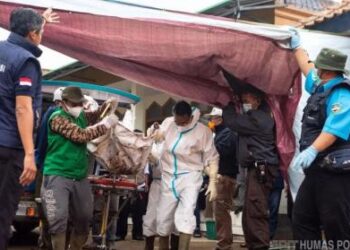 Update Longsor Bandung Barat: 60 Kantong Jenazah Ditemukan, 20 Korban Masih Hilang
