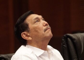 Ketua Dewan Ekonomi Nasional Luhut Binsar Pandjaitan. FOTO/Net. Ⓒ Hak cipta foto di atas dikembalikan sesungguhnya kepada pemilik foto
