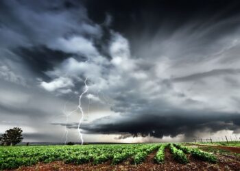 Ⓒ Hak cipta foto di atas dikembalikan sesungguhnya kepada pemilik foto
