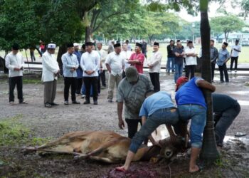 Kepala Staf Komando Daerah Militer Iskandar Muda Brigadir Jenderal TNI Dwi Sasongko menghadiri sekaligus melakukan pemotongan dan penyerahan simbolis hewan Meugang dalam rangka menyambut Ramadhan 1447 Hijriah, di Lapangan Blang Padang, Banda Aceh, Selasa (17/2/2026). FOTO/Net. Ⓒ Hak cipta foto di atas dikembalikan sesungguhnya kepada pemilik foto