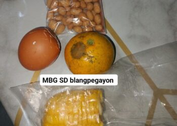 Ⓒ Hak cipta foto di atas dikembalikan sesungguhnya kepada pemilik foto