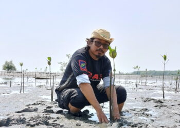 Perwakilan GRAS Ikuti Peringati Hari Mangrove Sedunia 2024 di Pantai Sei Tuan Indah