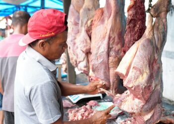 Hujan Tak Surutkan Antusias Warga Sabang, 60 Ekor Ternak Dipotong Saat Meugang