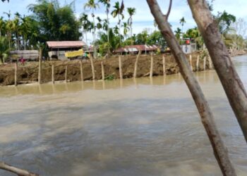 Ⓒ Hak cipta foto di atas dikembalikan sesungguhnya kepada pemilik foto