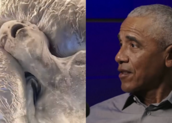 Ⓒ Hak cipta foto di atas dikembalikan sesungguhnya kepada pemilik foto