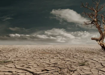 Ⓒ Hak cipta foto di atas dikembalikan sesungguhnya kepada pemilik foto