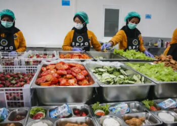 Terungkap! Wakil Kepala BGN Bongkar Dugaan Mark Up Bahan Pangan MBG oleh Sejumlah Mitra SPPG