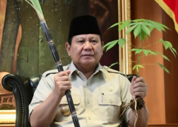Minyak Dunia Naik, Prabowo Yakin RI Hasilkan BBM dari Singkong dan Tebu