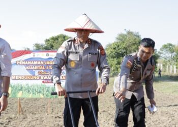Kapolda Aceh Ikuti Tanam Raya Jagung Serentak Dukung Swasembada Pangan