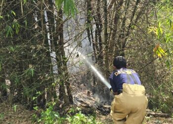 Damkar BPBD Aceh Besar Padamkan Kebakaran Rumpun Bambu di Gampong Bada