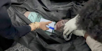 Ⓒ Hak cipta foto di atas dikembalikan sesungguhnya kepada pemilik foto Ⓒ Hak cipta foto di atas dikembalikan sesungguhnya kepada pemilik foto