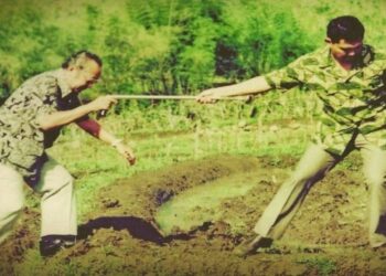 Ⓒ Hak cipta foto di atas dikembalikan sesungguhnya kepada pemilik foto