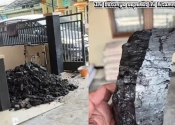 Viral Warga Kalimantan Temukan Batu Bara Saat Gali Septic Tank di Halaman Rumah