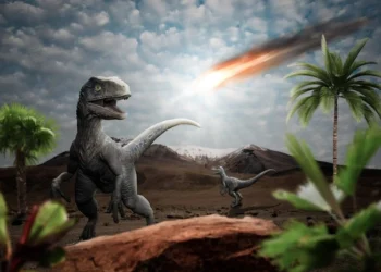 Ini Daftar Hewan yang Selamat dari Kepunahan Dinosaurus 66 Juta Tahun Lalu