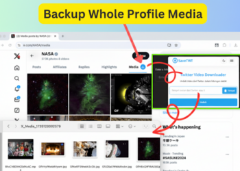 Cara Download Video Twitter yang Viral Tanpa Ribet! Rekomendasi SaveTWT