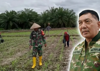 Menhan Ungkap Tugas Baru TNI: Angkatan Darat Tanam Jagung & Padi, Angkatan Laut Produksi Kedelai