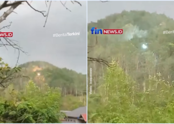 Bukan Listrik Tegangan Tinggi, Benda Asing Pancarkan Cahaya di Tengah Hutan