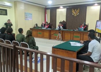 Sidang Kasus Satwa Dilindungi di PN Idi: Empat Saksi Dihadirkan, Terdakwa Ngaku Hanya Sopir Angkut