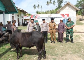 Sambut Idul Adha, Kapolda Aceh Serahkan Sapi Kurban untuk Dayah Al Maimanah