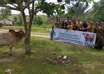 PT Bintang Toejoeh Serahkan Satu Ekor Sapi Kurban untuk Santri Dayah Wakaf Barbate