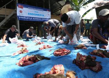 FJL Aceh Sembelih Hewan Qurban, Daging Dibagikan kepada Jurnalis dan Warga Kurang Mampu