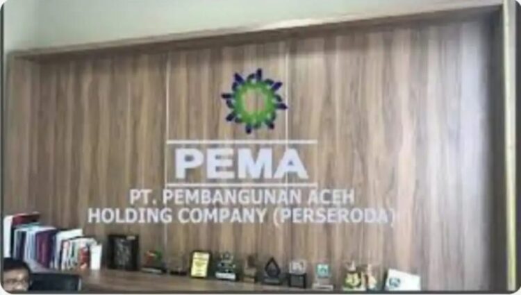 Soroti Temuan BPK, CIC Desak Audit Investigatif dan Evaluasi Direksi PT PEMA