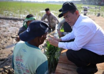 Pemerintah Aceh Pacu Pemulihan Sawah Terdampak Bencana