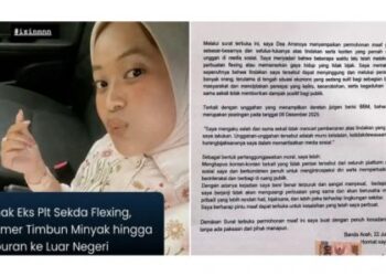 Dea Anak Pejabat Gayo Lues yang Viral Flexing Minta Maaf, Akui Salah dan Hapus Unggahan