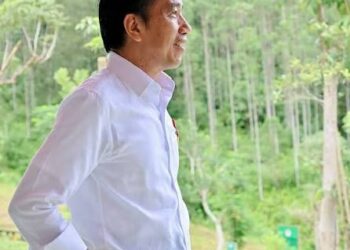 Jokowi Mulai Ganggu Zona Nyaman Gerindra dan PDIP