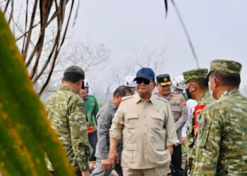 Kecurigaan Netizen Benar, Habis Karhutla, Muncullah Sawit