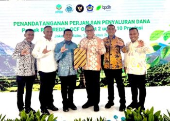 Dapat Apresiasi Dunia, Gubernur Mualem Perkuat Tata Kelola dan Perlindungan Hutan Aceh