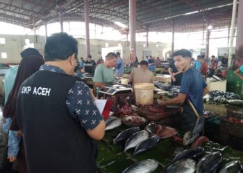 DKP Aceh Pantau Harga Ikan di Pasar Al Mahirah, Kenaikan Harga Masih Terkendali