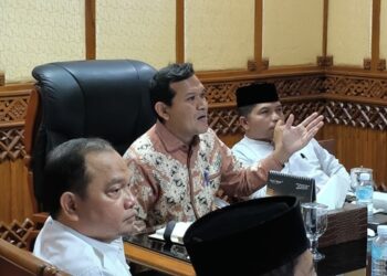 Wagub Fadhlullah Dukung Pembentukan Desk Koordinasi Aceh di Kemenko Polkam