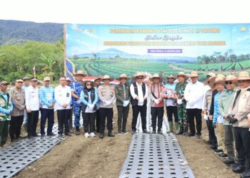 Dukung Swasembada Pangan, Kapolda Tanam Bawang Putih di Aceh Tengah