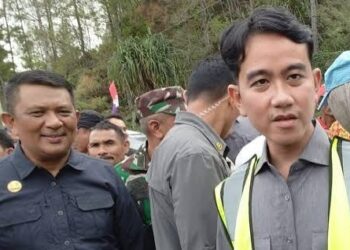 Gibran Harusnya Mundur Jika Tahu Diri dan Tahu Malu