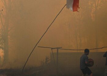 DPR Desak Pemerintah Tetapkan Karhutla Kalimantan sebagai Bencana Nasional