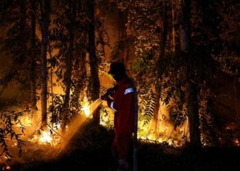 Karhutla Kalimantan Mengganas, Titik Api Penuhi Google Maps, Ini Kata BNPB