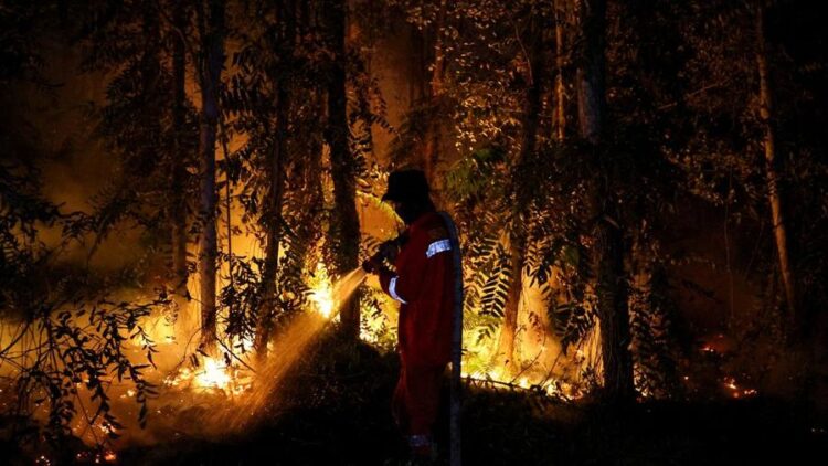 Karhutla Kalimantan Mengganas, Titik Api Penuhi Google Maps, Ini Kata BNPB