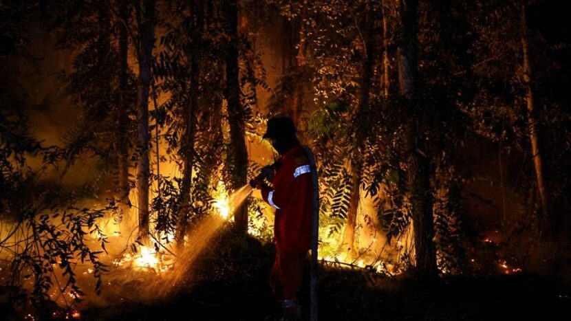 Karhutla Kalimantan Mengganas, Titik Api Penuhi Google Maps, Ini Kata BNPB