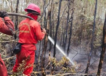 Menhut Raja Antoni Sebut Lahan Gambut Karhutla Banjar Masih Keluarkan Asap