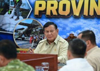 Presiden Prabowo Pastikan Karhutla Riau Dituntaskan, 15.000 Hektare Berhasil Ditangani