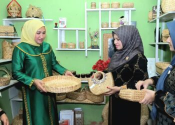 Eceng Gondok Aceh Barat Berpeluang Tembus Pasar Ekspor