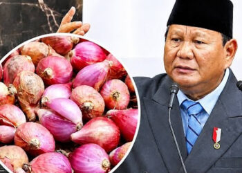 Faksi Geng SOP Disebut Menyelundupkan Data Palsu Pengupas Bawang ke Pidato Prabowo