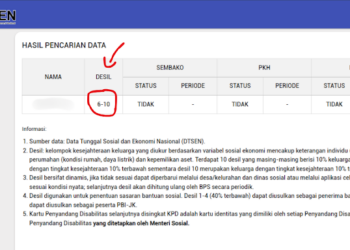 Siap-siap Uji Coba Pembatasan Pertalite: Pahami Arti Desil 1-10, Jangan sampai Keliru