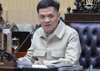 Habiburokhman Klaim Era Prabowo Lebih Demokratis: Hukum tak Jadi Alat Kekuasaan