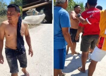 Viral Oknum Polisi Diduga Terlibat Pencurian Sapi