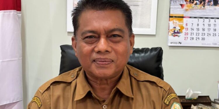 Ⓒ Hak cipta foto di atas dikembalikan sesungguhnya kepada pemilik foto